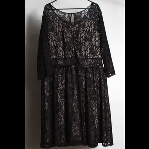 Black Lace Long Sleeve Dress